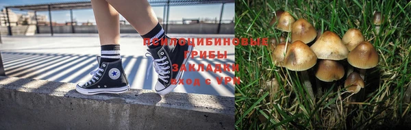 марки nbome Арсеньев
