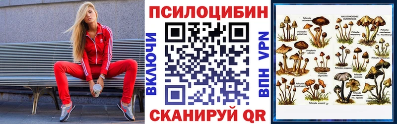 дарнет шоп  Зерноград  блэк спрут сайт  Галлюциногенные грибы Psilocybine cubensis 